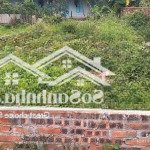 Bán lô góc siêu đẹp - nguyên khê, đông anh. oto tránh nhau