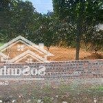 Nghỉ dưỡng yên bài - ba vì. diện tích: 590m2, thực tế sử dụng 638m2, thổ cư 150m2