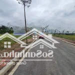 Bán đất đấu giá thanh cao với dt 84m2. mt và hậu rộng 5m, đường rộng 9m rất tiềm năng ạ
