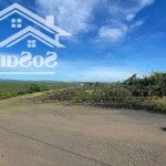 đất 2 mặt tiền đường nhựa lớn bảo lâm giá 400 triệu/ sào quá ngộp