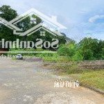 Siêu phẩm giá tốt phúc tiến sát cnc hòa lạc, sổ sẵn, đất vuông vức!