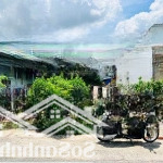 Bán đất tại đường 43, tân thông hội, củ chi, hcm có 208m2, giá: 1 tỷ050 hết đất