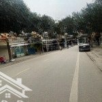Siêu hiếm phân lô - ô tô tránh