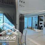 Bán căn hộ penthouse - 152m2 - view landmark 81 - sở hữu lâu dài - full nội thất - chỉ 7 tỷ