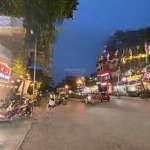 Nhanh tay còn duy nhất 1 căn mặt phố 331m2 vỉa hè rộng kinh doanh siêu chất giá chỉ từ 2xx