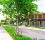 Biệt thự đơn lập suncasa central liền kề tpm bình dương 250m2/giá full 6.23tỷ vị trí đẹp