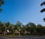 Chính chủ bán căn hộ 83m2 rừng cọ trong kđt đáng sống nhất ecopark. giá không thể tốt hơn!