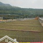đất full thổ cư , đường 2 oto tránh nhau, xung quanh đầy đủ tiện ích