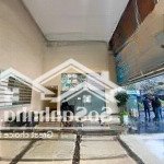Cho thuê sàn thương mại 668m2 tầng 1 trung tâm thương mại mipec, 229 tây sơn, quận đống đa, hà nội