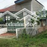 Chính chủ cho thuê nhà làm kho xưởng, ở được mặt đường phạm văn đồng, thành phố phúc yên, vĩnh phúc