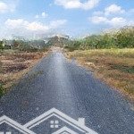Bán đất thổ cư giá rẻ tại bình chánh 1640m2 có 300m2 tc