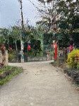 493m/400m lâm sơn - lương sơn sẵn nhà cấp 4 ở luôn giá chính chủ cần bán