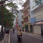 Bán đất mặt phố nhật chiêu – 295m², nở hậu, sổ đỏ riêng – giá chỉ 120 tỷ
