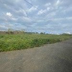 Chính chủ bán đất tại nguyễn huệ, xã đam bri, bảđam bri, bảo lộc, lâm đồng, 1,8 tỷ, 400 m2.