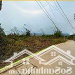 Bán đất đường nhánh nguyễn tất thành hướng đi hồ tràm giá chỉ 13,5 triệu/m2