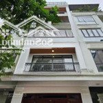 Mặt phố đặng xuân bảng dt78mx5t kinh doanh sầm uất-vỉa hè 5 mét - giá 24.8 tỷ