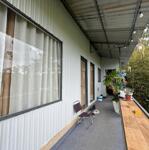 Cho thuê homestay đang kinh doanh tại đặng thái thân, phường 3, đà lạt