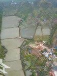 Bán lô đất 790m phù long, cát hải view sông, non nước hữu tình - giá cực tốt đầu tư