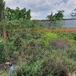 Bán 33.500m² đất 2 mặt tiền quốc lộ 54 và sông đông thành - bình minh - vĩnh long