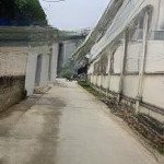 Cực hiếm. chỉ 730tr sở hữu lô đất đẹp ở trung tâm xã hợp tiến, mỹ đức. ô tô đỗ cửa. rẻ nhất khu vực