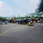 Lô gốc 2mt cù chính lan giá rẻ