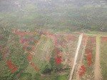 đất tu vũ thanh thuỷ phú thọ đường bê tông thông, rộng 6m giáp cánh đồng gần các tiện ích công cộng