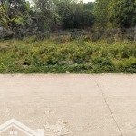 Chính chủ cần tiền trả ngân hàng cần bán đất
