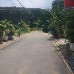 Bán nhanh 88m ngang 5m khu đại học bách khoa đường đỗ xuân hợp quận 9 giá 6 tỷ