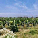Cần bán quỹ đất quy hoạch tmdv, mặt tiền đường hòn dồ, hàm cường, hàm thuận nam, bình thuận