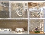 Chính chủ bán căn d03 đẹp nhất dự án newtown diamond, giá 3,9 tỷ