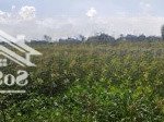 Chính chủ bấn lo đất đ.nguyễn văn tiết.p5.gần chợ đem cai lậy.tiền giang. đất thổ cư bao xây dựng.