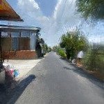 Hàng thơm giá rẻ 165m2 full thổ cư mt đường nhựa