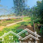 Bán đất tại xã minh phú, sóc sơn, hà nội, 1,62 tỷ, 90,6m2