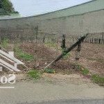 Bán lô đất 10*21,4 ( 214m2) shr, tân thạnh đông, củ chi. giá 2 tỷ