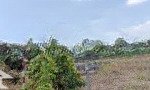 Bán đất mặt tiền 1082m2 có 80 tc tại xã đá bạc, châu đức, bà rịa vũng tàu, giá rẻ đãi 1,98 tỷ