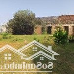 Chính chủ bán lô đất đầu tư siêu đẹp 2932m2 tại cố thổ xã hòa sơn, lương sơn, hòa bình: 0829911592