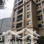Cập nhật quỹ căn shophouse vinhomes d''capitale mới nhất