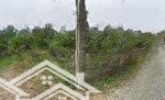 Bán đất tại đồng bom, lạc thủy, hòa bình, 5,2 triệu / m2, 291,6 m2 đẹp xuất sắc