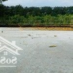 Bán đất nền xuân hưng, thọ xuân, thanh hóa, cạnh sân bay giá cực chất 5 triệu / m2, 132 m2 .