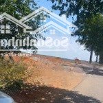 Bán đất ngay sân bay long thành đồng nai