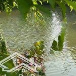 Bán bt song lập hoa lan 1-23. đối diện almaz, gần công viên. 252m2. mặt tiền 10m, vị trí rất đẹp.