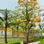 Cần bán nhà liền kề ngọc trai 90m2 xây thô giá cực êm