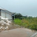 đất hiếm ô tô vào tận đất - 544m² - thôn đông thành, lam cốt, tân yên, bắc giang 1.9xx tỷ/ 1 lô