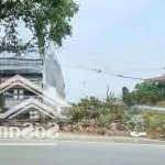 Hàng hiếm đất đường hoàng quốc việt