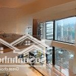 Siêu hiếm !!! bán căn hộ cao cấp - tầng cao vinhomes metropolis 110m2 - lô góc - view khách sạn đẹp