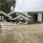 Chính chủ gửi bán lô góc cực đẹp 555m2 (80m2 thổ cư) cách cổng chính kcn nhuận trạch 500m
