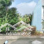 Kẹt tiền bán mtđ thông nhất đồng nai khu vực trạm cân đức huy, 120/880tr, shr.