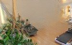 Bán căn hộ 135m2, 3pn, cửa tb, ban công đn, chung cư iris garden, giá 7.2 tỷ. có thương lượng
