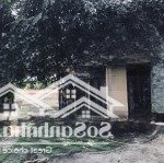 Nhà biệt thự ngang 18 dài 55 có 800 m2 thổ cư