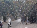 Nhà khương đình 44m, 5 tầng, mặt tiền 3,5m, giá 9,2 tỷ, 30m ra phố khương đình, kinh doanh đỉnh